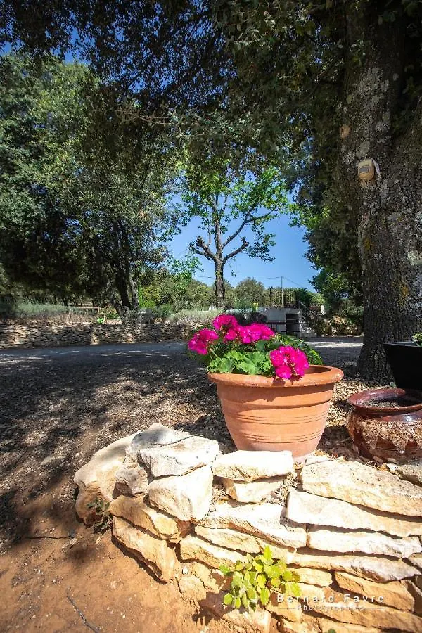 Holiday home Mas Saint Antoine Villa Bourg-Saint-Andeol