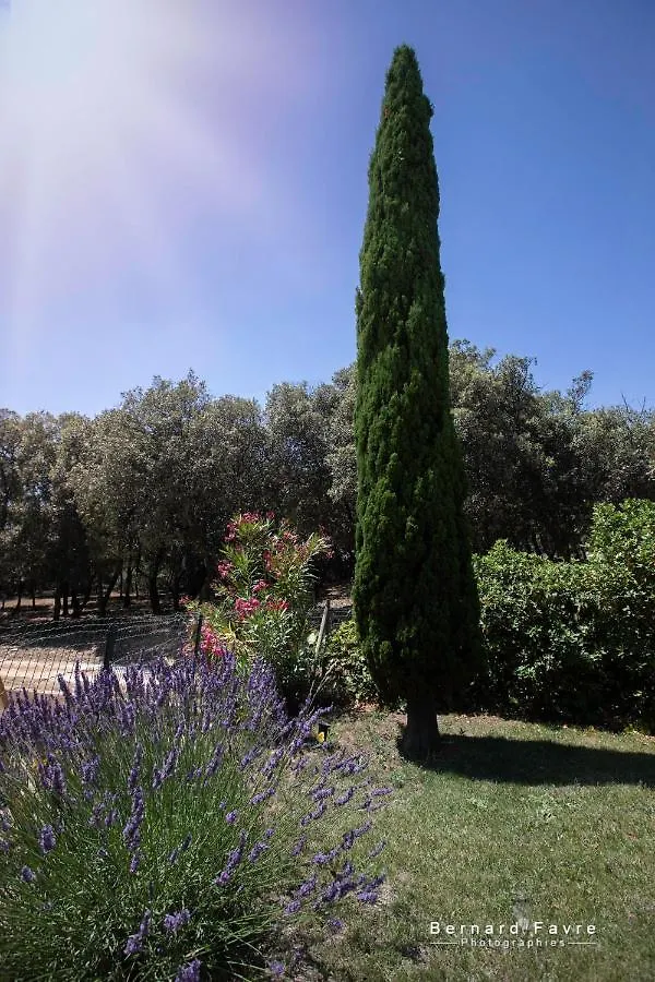 Mas Saint Antoine Villa Bourg-Saint-Andeol