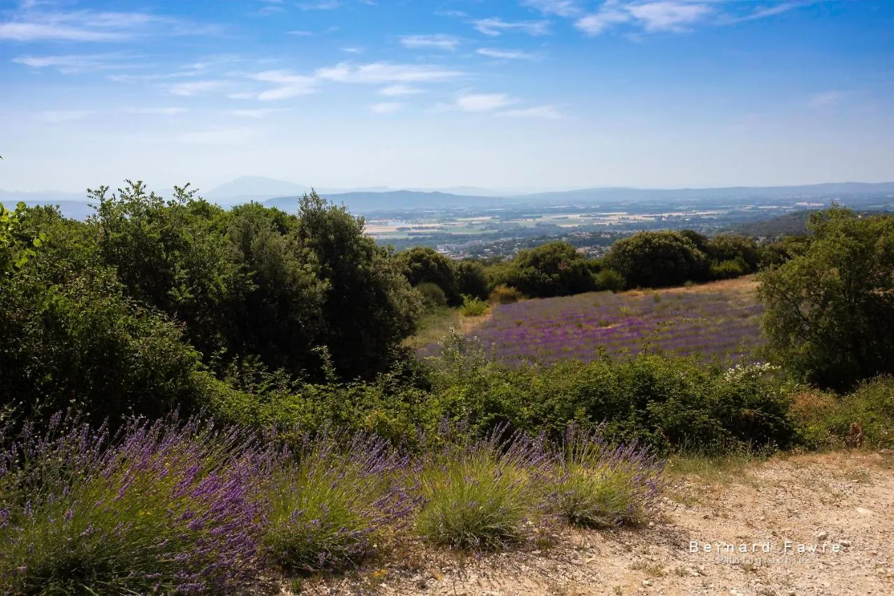 Mas Saint Antoine Villa Bourg-Saint-Andeol Holiday home