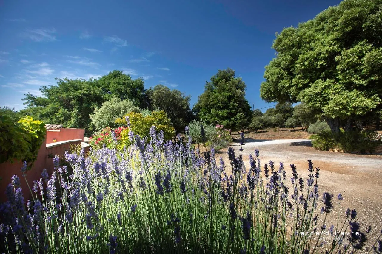 Holiday home Mas Saint Antoine Villa Bourg-Saint-Andeol France