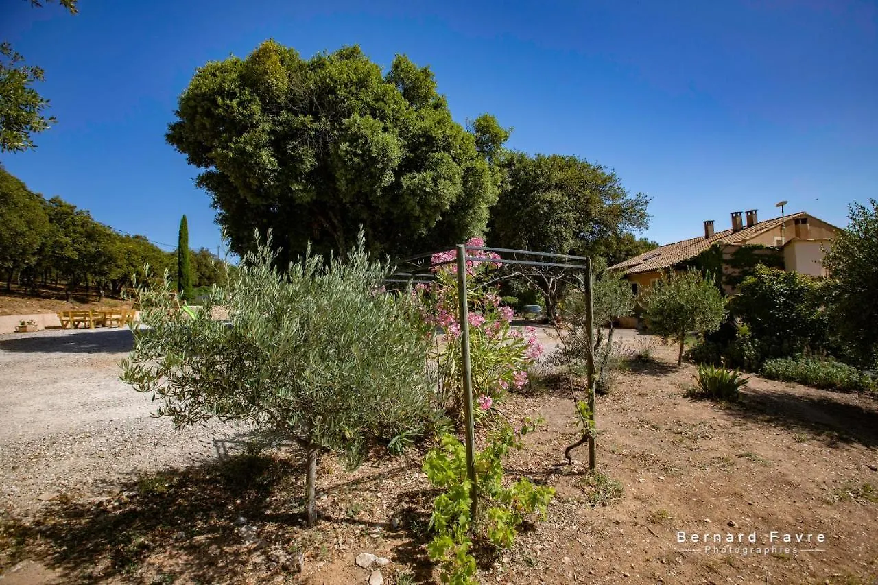 Mas Saint Antoine Villa Bourg-Saint-Andeol Holiday home